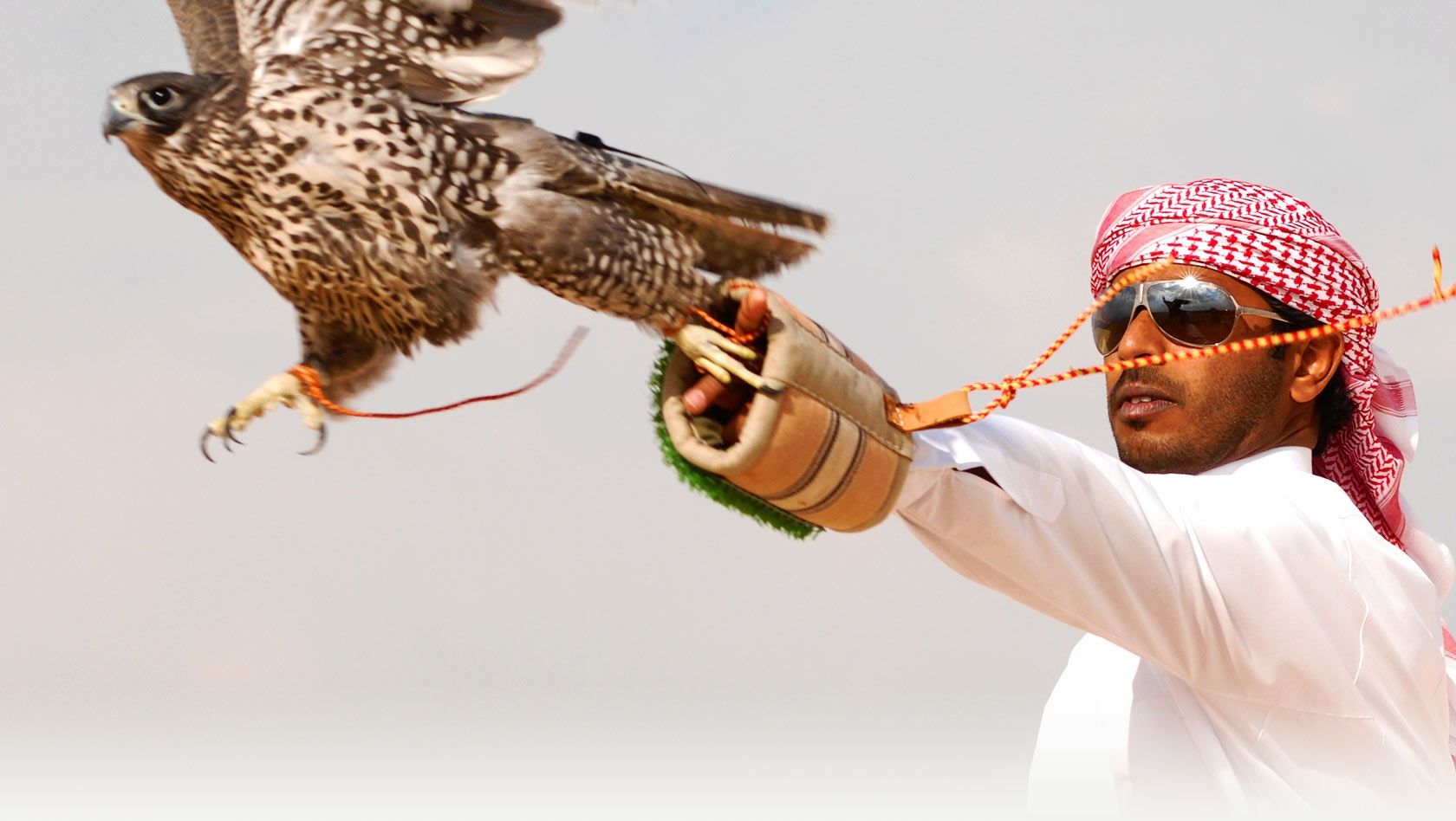 8cce9f0cc74fd58c3fb422a687df3d55